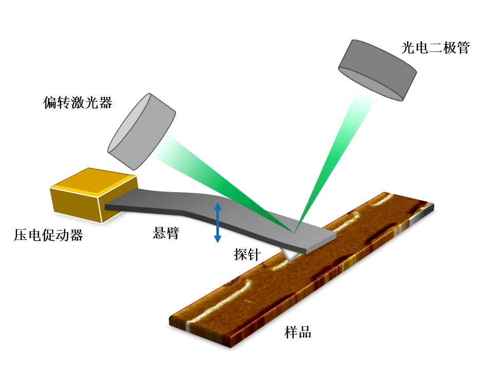 Atomic Force Microscopy